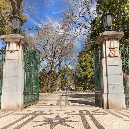 Lapa Getaway With Swimming Pool